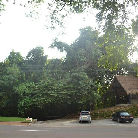 Ella Jungle Inn Kahatamaditta Exterior photo